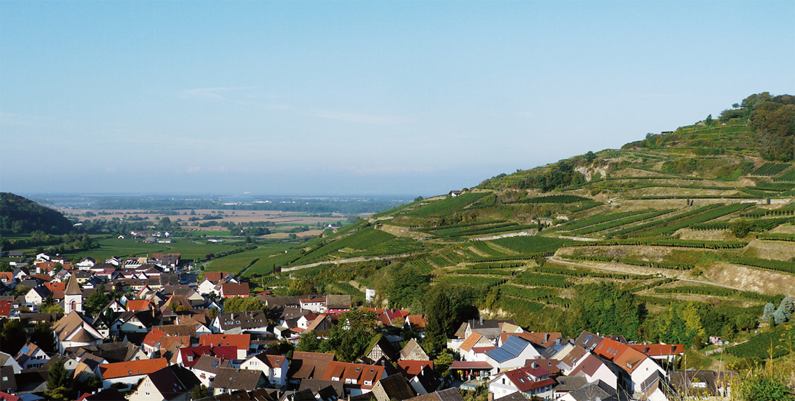 Fernaufnahme Vogtsburg-Achkarren