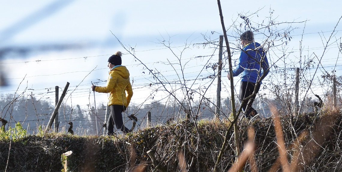 Wandern und Nordic walking um Achkarren